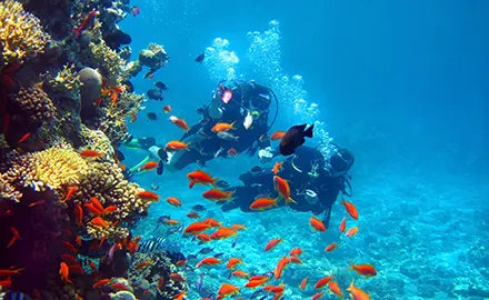 Exploration des fonds marins