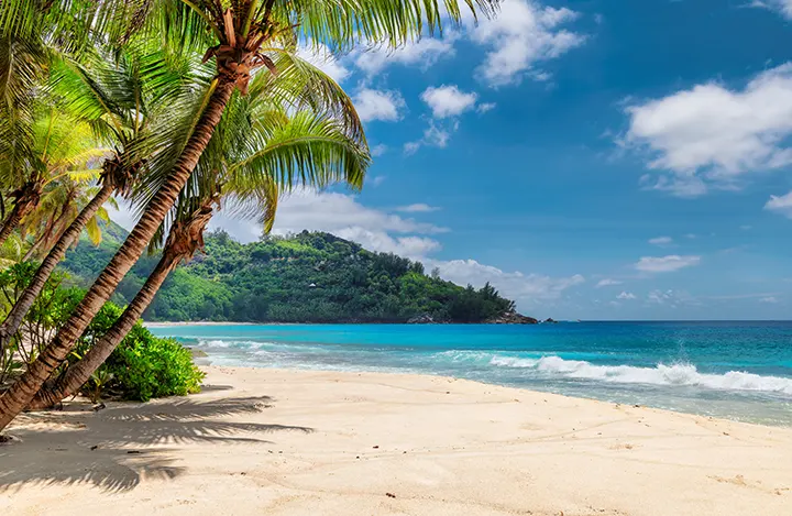 La puissance brute des côtes rocheuses